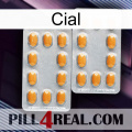 Cial cialis4